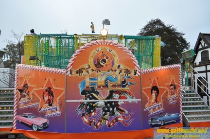 DSC 0100 (Kopie)