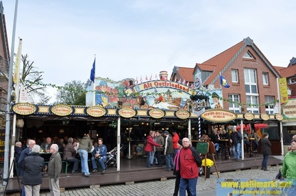 DSC 0252 (Kopie)