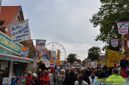 DSC 0251 (Kopie)