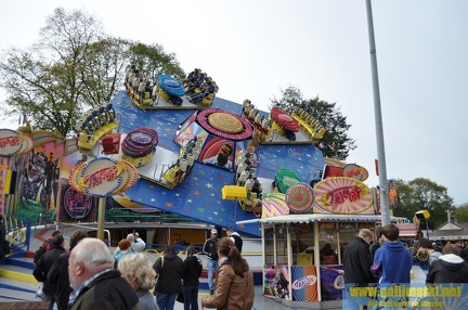 DSC 0264 (Kopie)