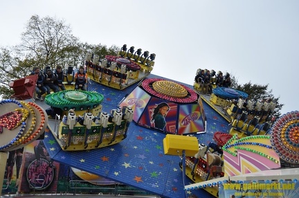 DSC 0270 (Kopie)