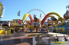 DSC 0220 (Kopie)