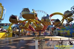 DSC 0212 (Kopie)