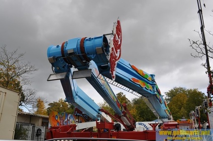 DSC 0078 (Kopie)