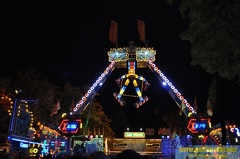 DSC 0370 (Kopie)