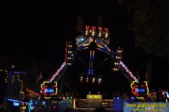 DSC 0374 (Kopie)
