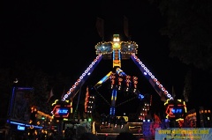 DSC 0373 (Kopie)