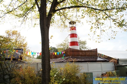DSC03780 (Kopie)