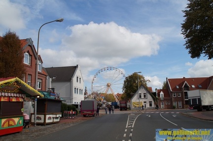 DSC03787 (Kopie)