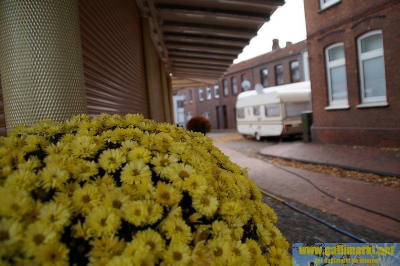 DSC03844 (Kopie).JPG