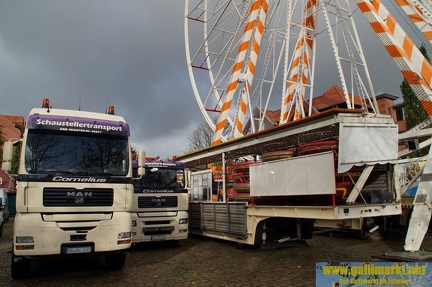 DSC09100 (Kopie)