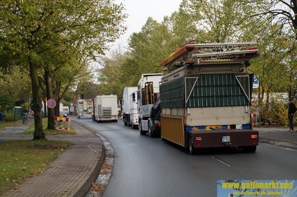 DSC09123 (Kopie)