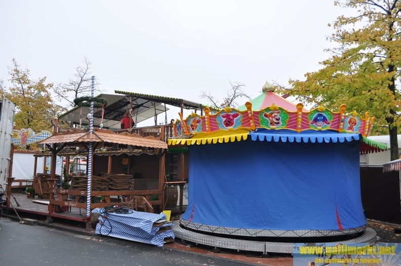 DSC 8377 (Kopie)