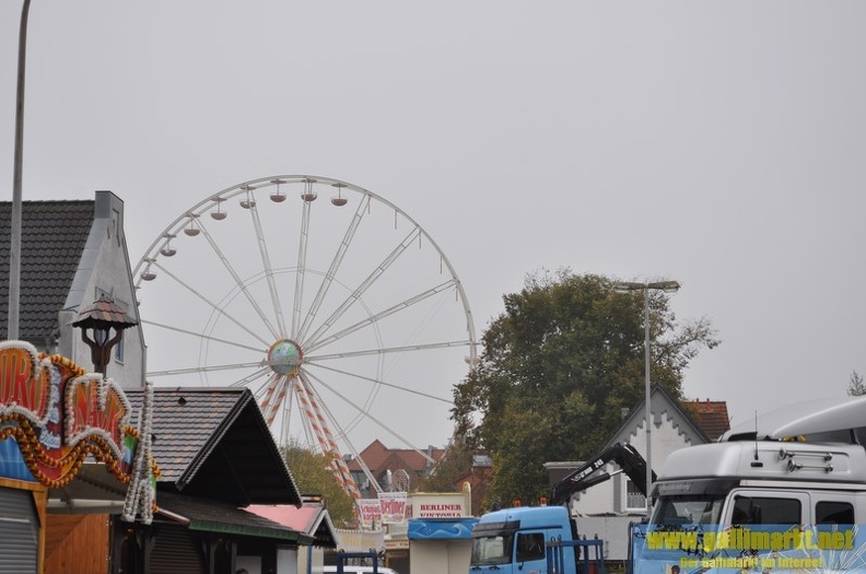 DSC 8384 (Kopie)