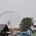 DSC 8384 (Kopie)