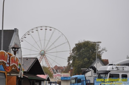 DSC 8384 (Kopie)