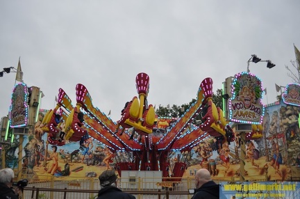 DSC 7663 (Kopie)