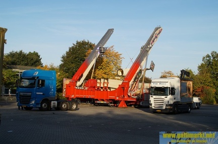 DSC09820 (Kopie)