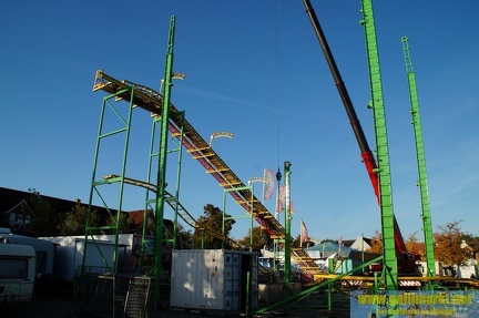DSC09831 (Kopie)