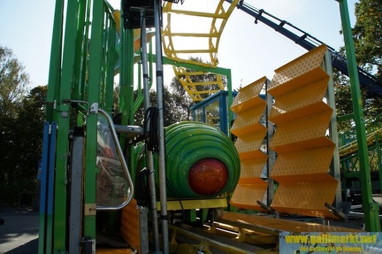 DSC09902 (Kopie)