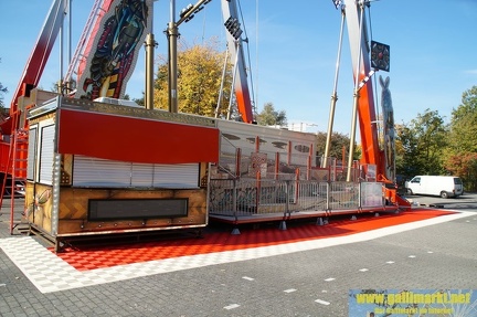 DSC09907 (Kopie)