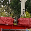 DSC09947 (Kopie)