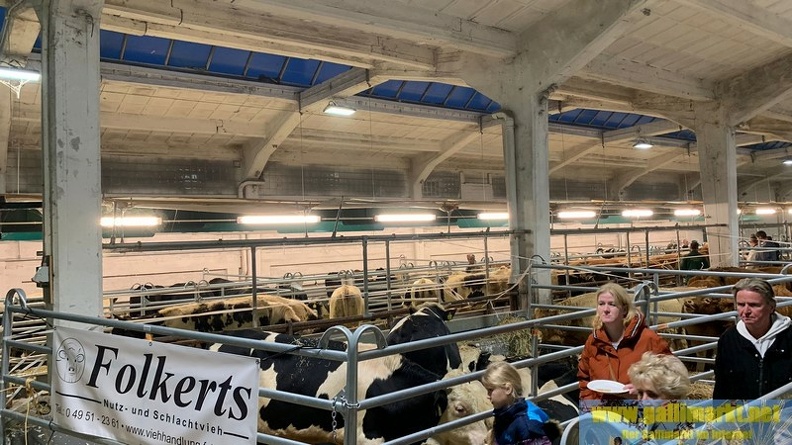 IMG-20221011-WA0027 (Kopie).jpg