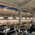 IMG-20221011-WA0044 (Kopie)