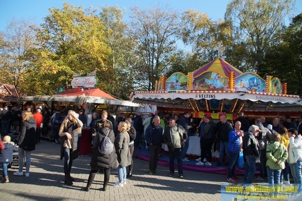 DSC00695 (Kopie)