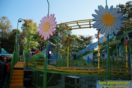 DSC00698 (Kopie)