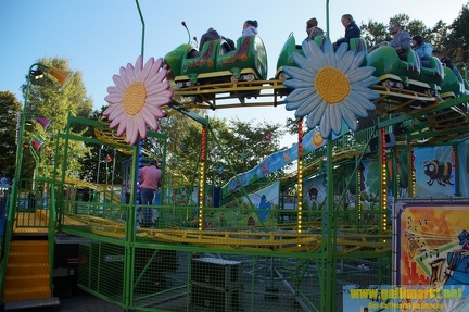 DSC00700 (Kopie)