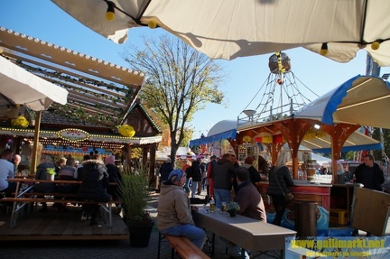 DSC00711 (Kopie)