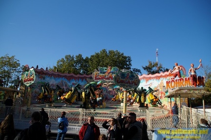 DSC00719 (Kopie)