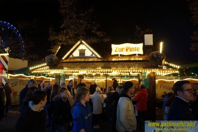 DSC00933 (Kopie).JPG