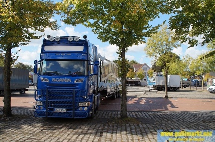 DSC02785 (Kopie)