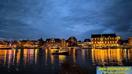 IMG 20241012 191835 (Kopie)