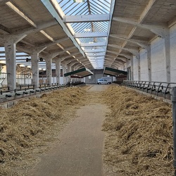 Gallimarkt 2025
