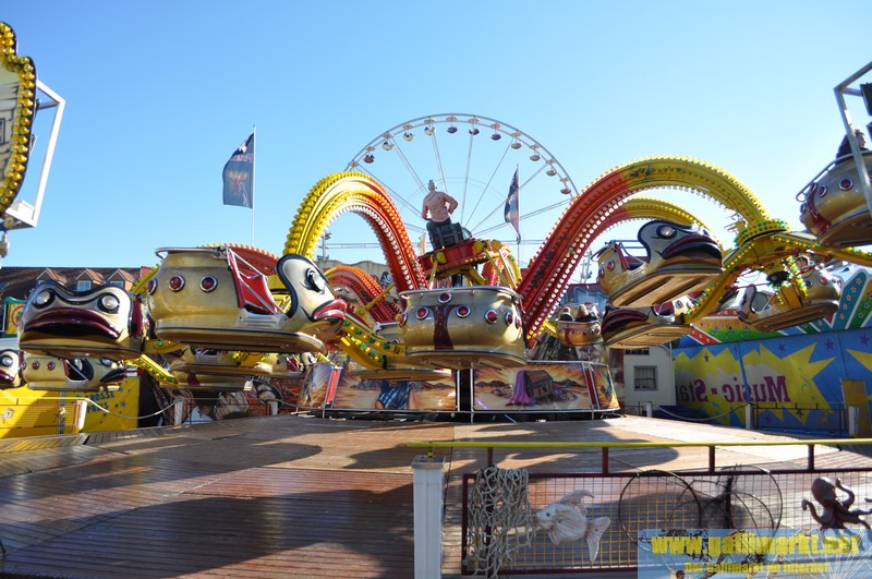 DSC 0220 (Kopie)